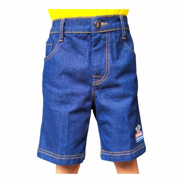 Podar Little Maestros Shorts - Image 3