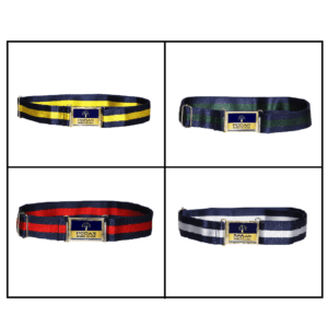 PWS Belt