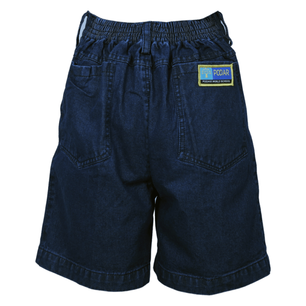 PWS Shorts - Image 2